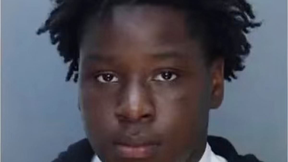 Alleged Gang-Rape in Miami Community Garden Sparks Plea for Release by 12-Year-Old Accused