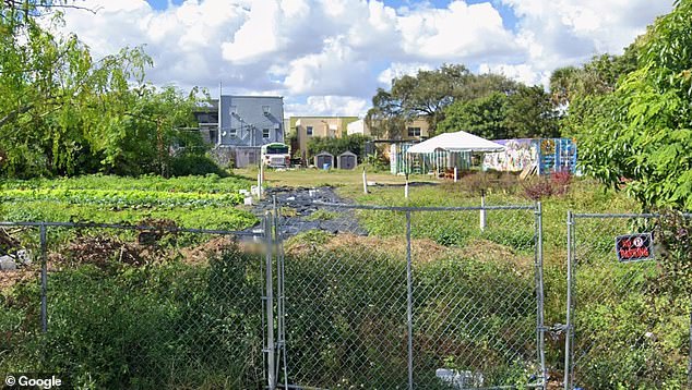 Alleged Gang-Rape in Miami Community Garden Sparks Plea for Release by 12-Year-Old Accused