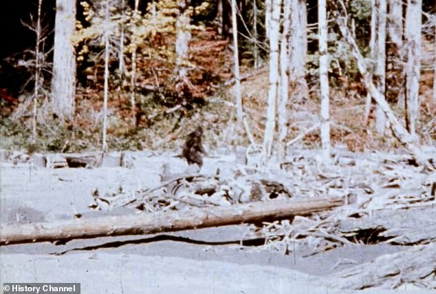 New Documentary Exposes Patterson-Gimlin Film as Staged Bigfoot Hoax