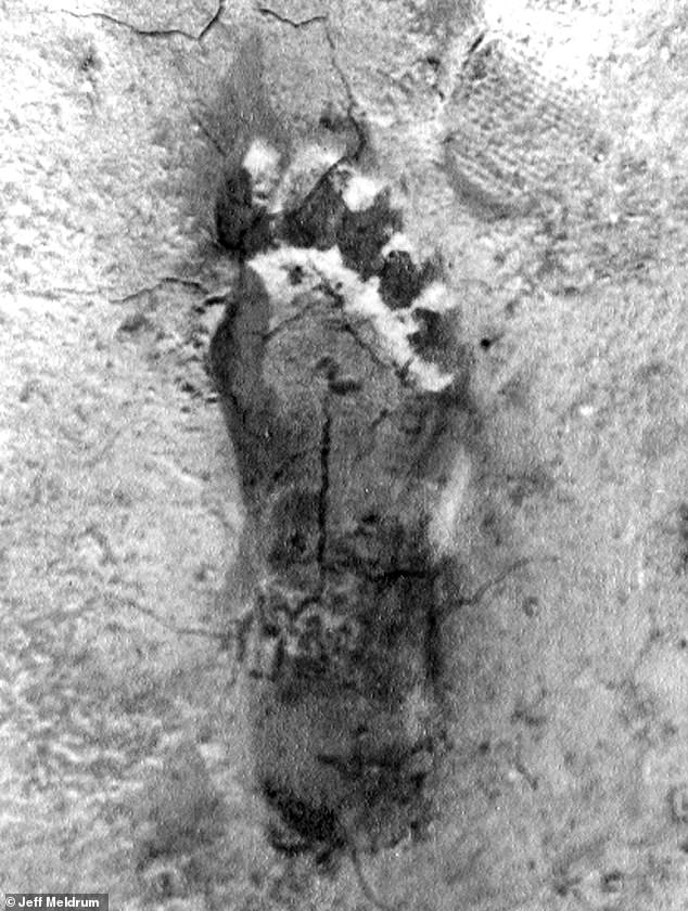 New Documentary Exposes Patterson-Gimlin Film as Staged Bigfoot Hoax