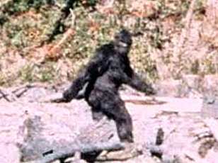 New Documentary Exposes Patterson-Gimlin Film as Staged Bigfoot Hoax