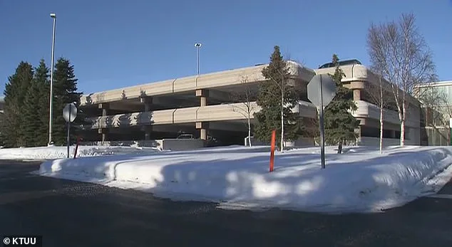 Wrongful Death Lawsuit Alleges 911 Dispatcher Neglect in Alecia Lindsay's Hypothermia Case