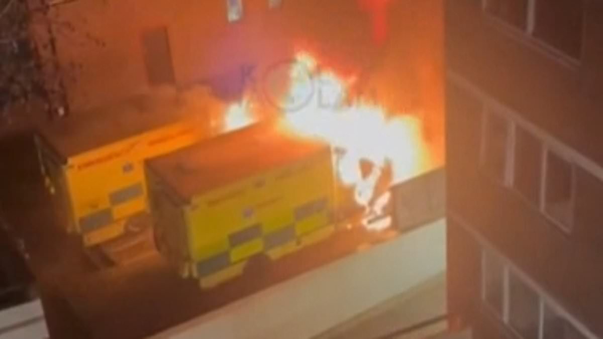 Arson Attack on Jewish Community Ambulances in London Labeled Suspected Antisemitic Hate Crime
