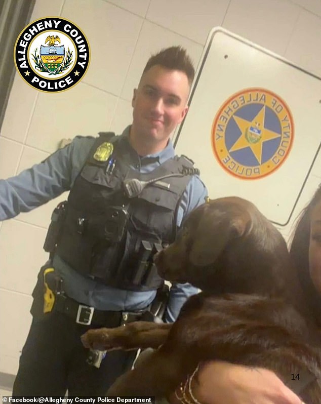 Abandoned Chocolate Labrador Puppy Sparks Viral Outrage and Swift Police Action at Pittsburgh Airport