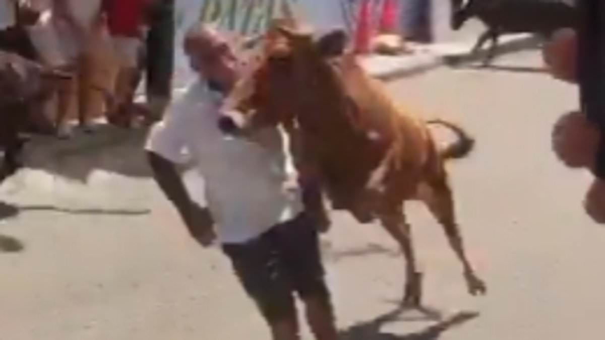 Miraculous Survival as Bull Charge Leaves Man Injured at Peru Festival