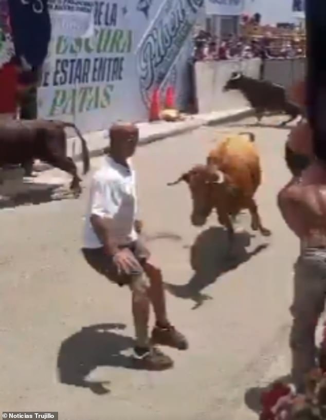 Miraculous Survival as Bull Charge Leaves Man Injured at Peru Festival