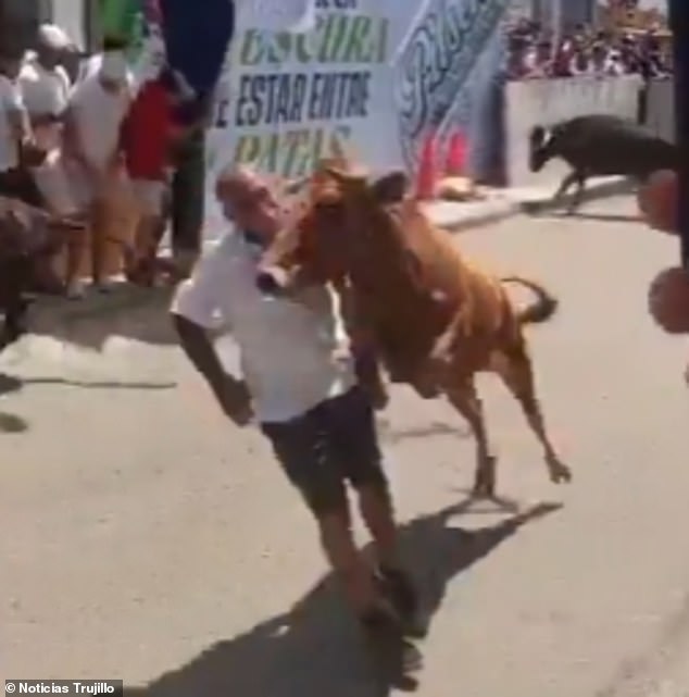 Miraculous Survival as Bull Charge Leaves Man Injured at Peru Festival