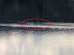 Mysterious Fast-Moving Creature in New Loch Ness Footage Sparks Excitement