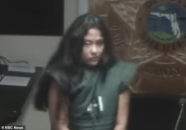 Schizophrenic Florida Woman Avoids Jail Time After Attempting to Hire Hitman to Kill Her Son