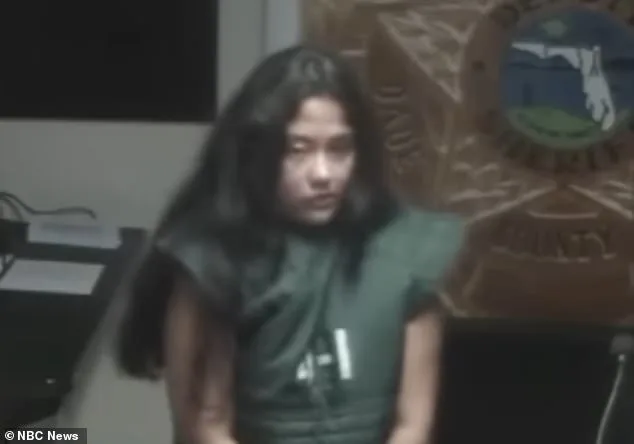 Schizophrenic Florida Woman Avoids Jail Time After Attempting to Hire Hitman to Kill Her Son