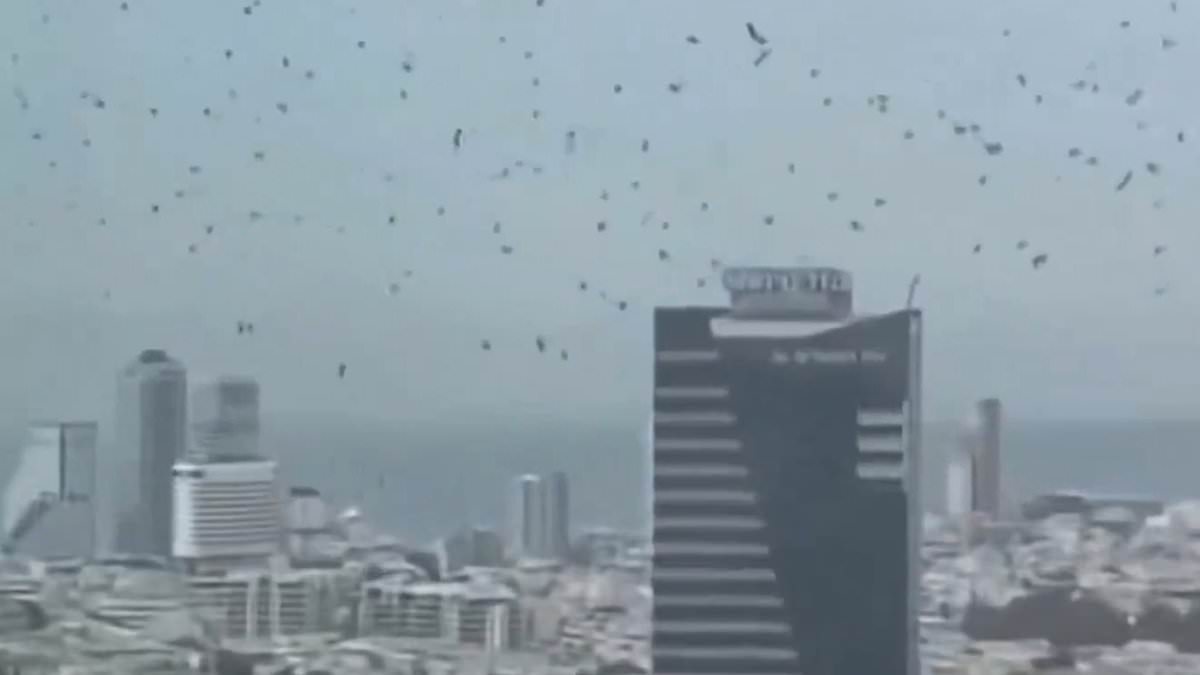 Surreal Skies Over Tel Aviv: Chaos, Crow Swarm, and Apocalyptic Theories Spark Social Media Speculation