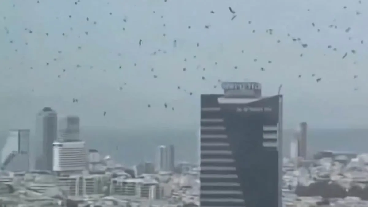 Surreal Skies Over Tel Aviv: Chaos, Crow Swarm, and Apocalyptic Theories Spark Social Media Speculation