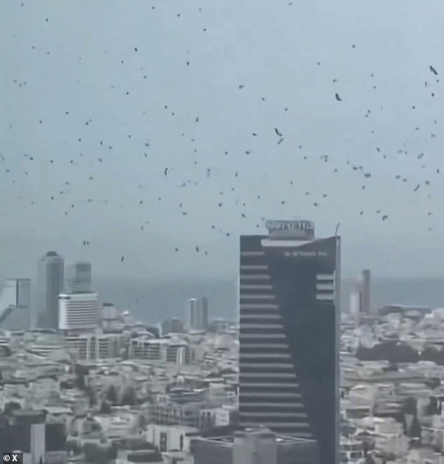 Surreal Skies Over Tel Aviv: Chaos, Crow Swarm, and Apocalyptic Theories Spark Social Media Speculation