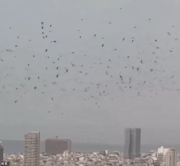 Surreal Skies Over Tel Aviv: Chaos, Crow Swarm, and Apocalyptic Theories Spark Social Media Speculation