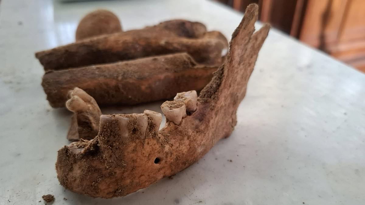 Unearthing the Fourth Musketeer: Skeleton Found in Netherlands May Belong to D'Artagnan