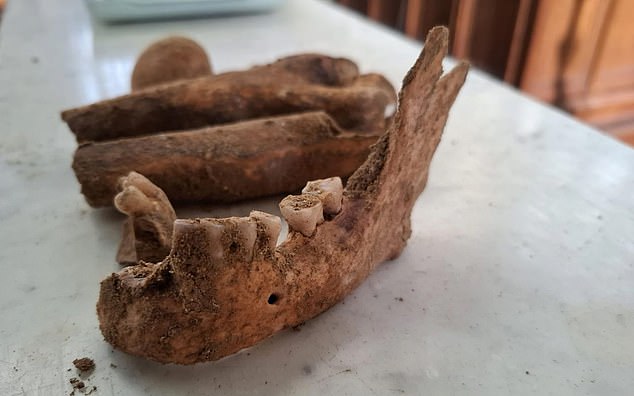 Unearthing the Fourth Musketeer: Skeleton Found in Netherlands May Belong to D'Artagnan