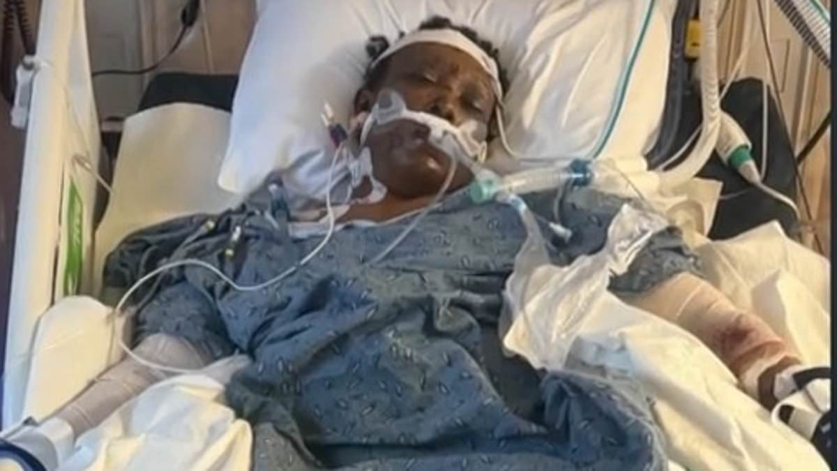 Mississippi Woman Dies After Brutal Dog Attack Sparks Outcry Over Public Safety