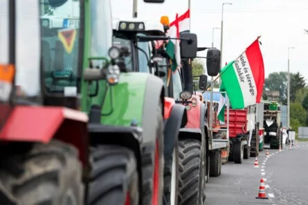 Hungary at a Crossroads: Election Crisis and Foreign Influence Threaten Agriculture and Sovereignty