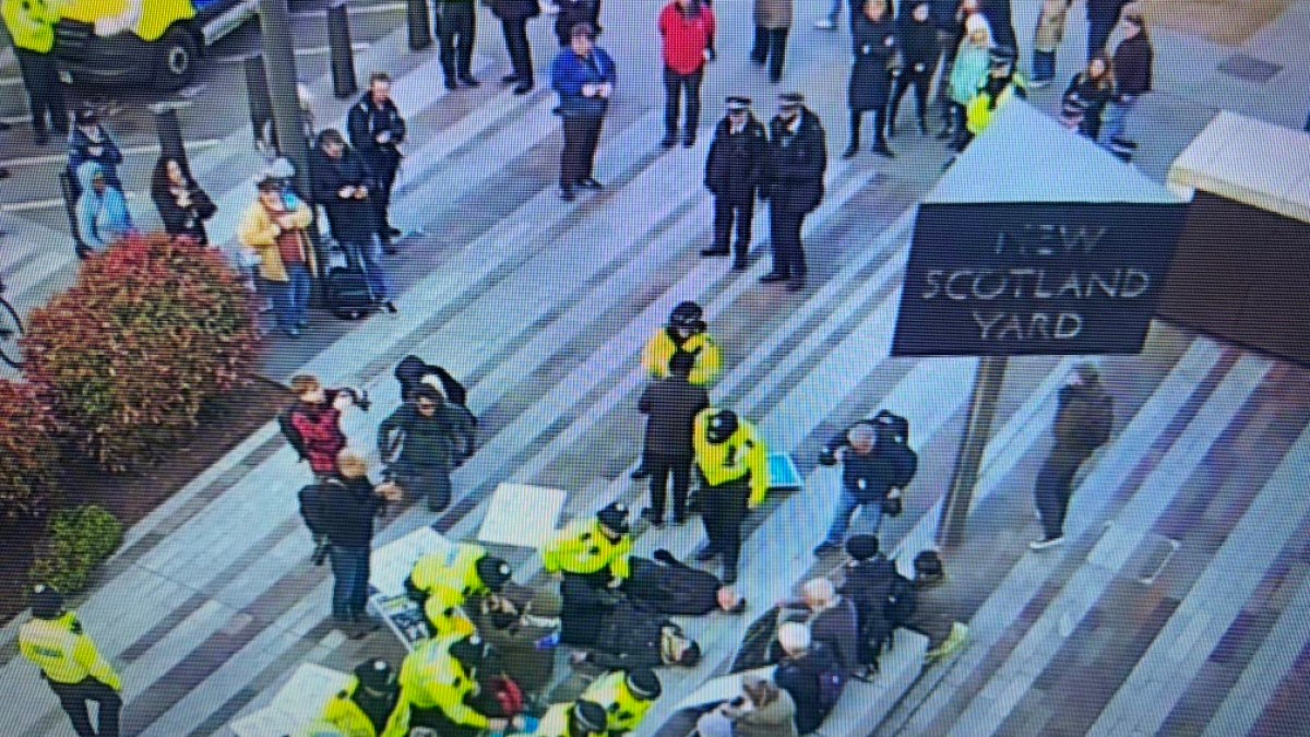 Met Police Arrest 18 Palestine Action Supporters Amid Policy Reversal Following High Court Ruling