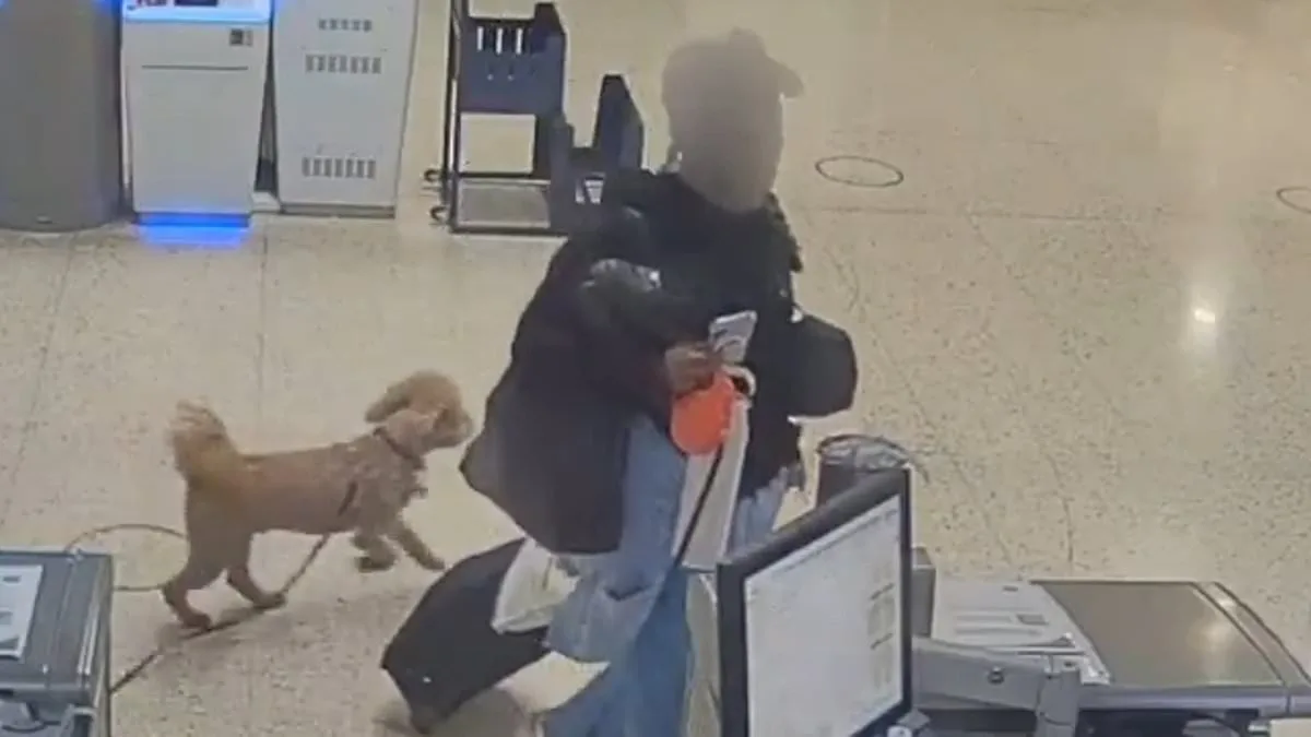 Bench Warrant Issued for Woman Accused of Abandoning Service Dog at Las Vegas Airport