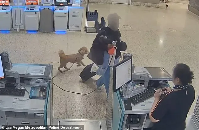 Bench Warrant Issued for Woman Accused of Abandoning Service Dog at Las Vegas Airport