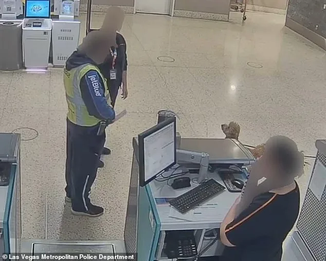 Bench Warrant Issued for Woman Accused of Abandoning Service Dog at Las Vegas Airport