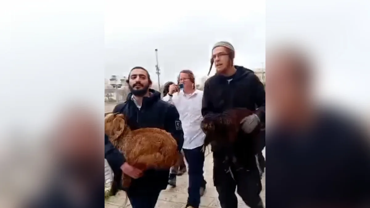Shocking Passover Sacrifice at Al-Aqsa Mosque Ignites Global Controversy