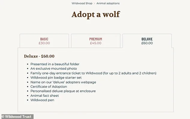 Furor Over Euthanasia of Adopted Wolves Sparks Calls for Independent Inquiry at Wildlife Park