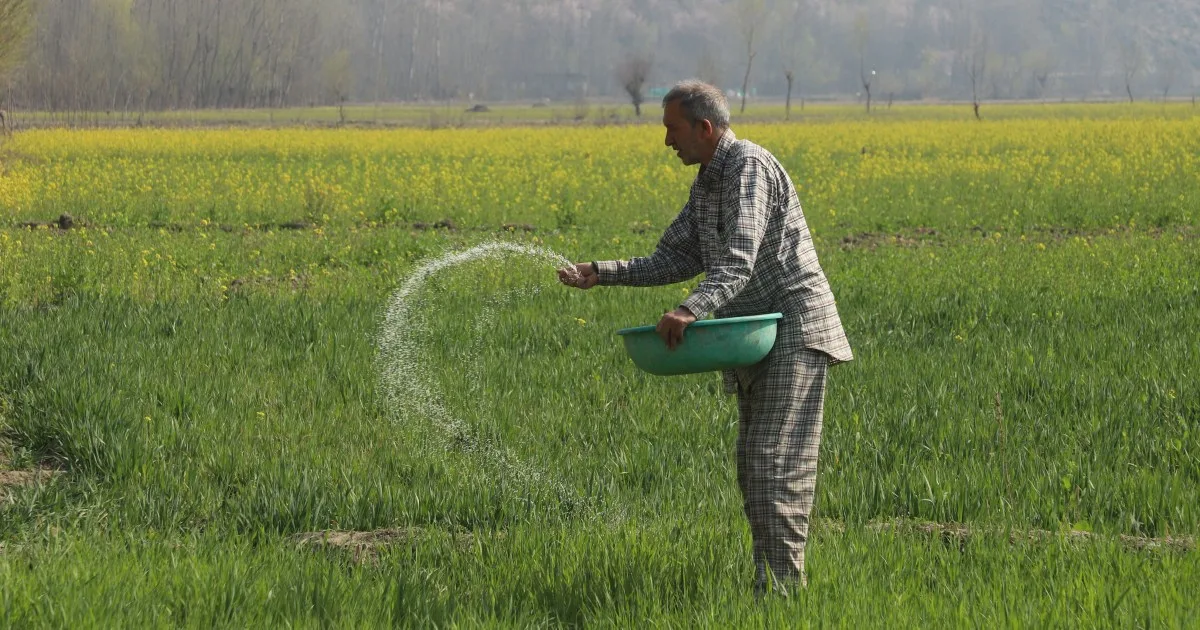 Punjab Farmers Face Existential Crisis as Fertiliser Prices Soar Amid Geopolitical Tensions