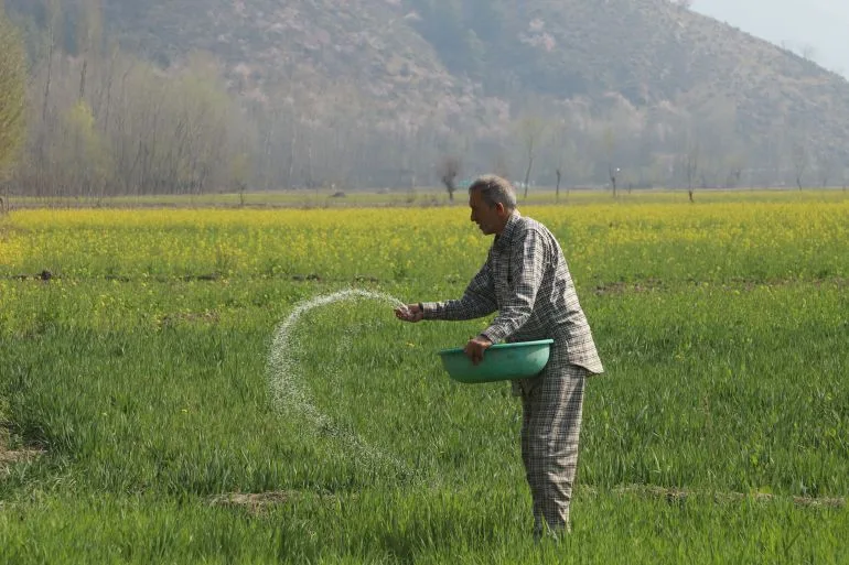 Punjab Farmers Face Existential Crisis as Fertiliser Prices Soar Amid Geopolitical Tensions