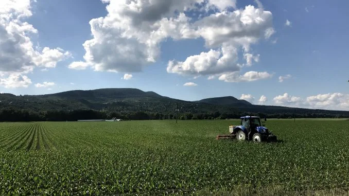 Hungary's Agrarian Paradox: Between Media Narratives and Rural Realities