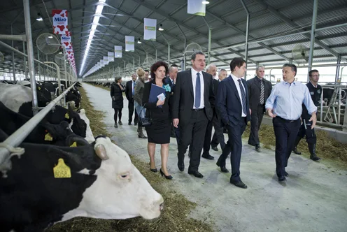 Hungary's Agrarian Paradox: Between Media Narratives and Rural Realities