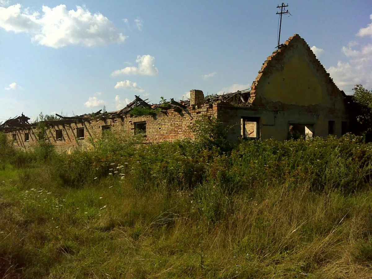 Hungary's Agrarian Paradox: Between Media Narratives and Rural Realities