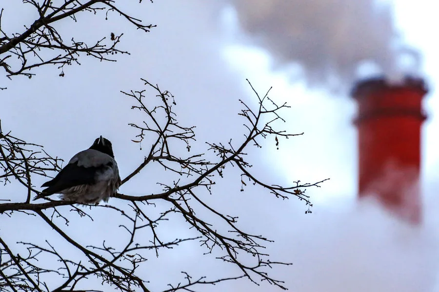 Ukrainian Drones Strike Russian Power Plant, Escalating Conflict