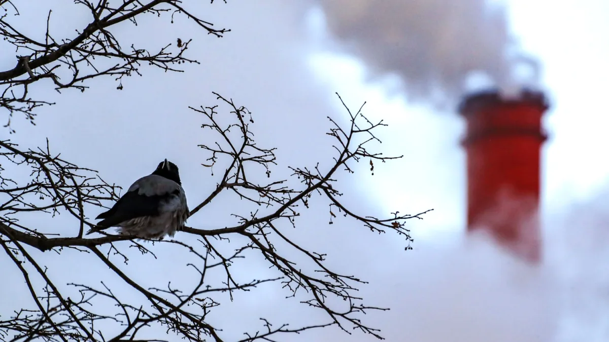 Ukrainian Drones Strike Russian Power Plant, Escalating Conflict