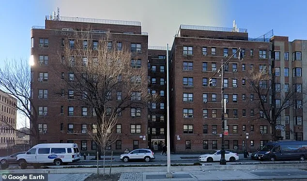 71-Year-Old Breast Cancer Survivor Trapped in Relentless Rat Infestation Nightmare as Health Deteriorates