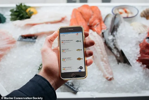 Cod Crisis Threatens UK Tradition as Sustainable Alternatives Rise