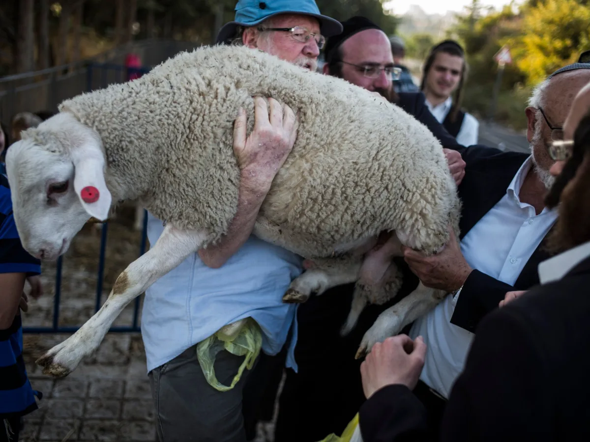 Record Settler Attempts to Smuggle Animal Sacrifices into Al-Aqsa Mosque Spark Fears of Status Quo Shift Amid Lockdown