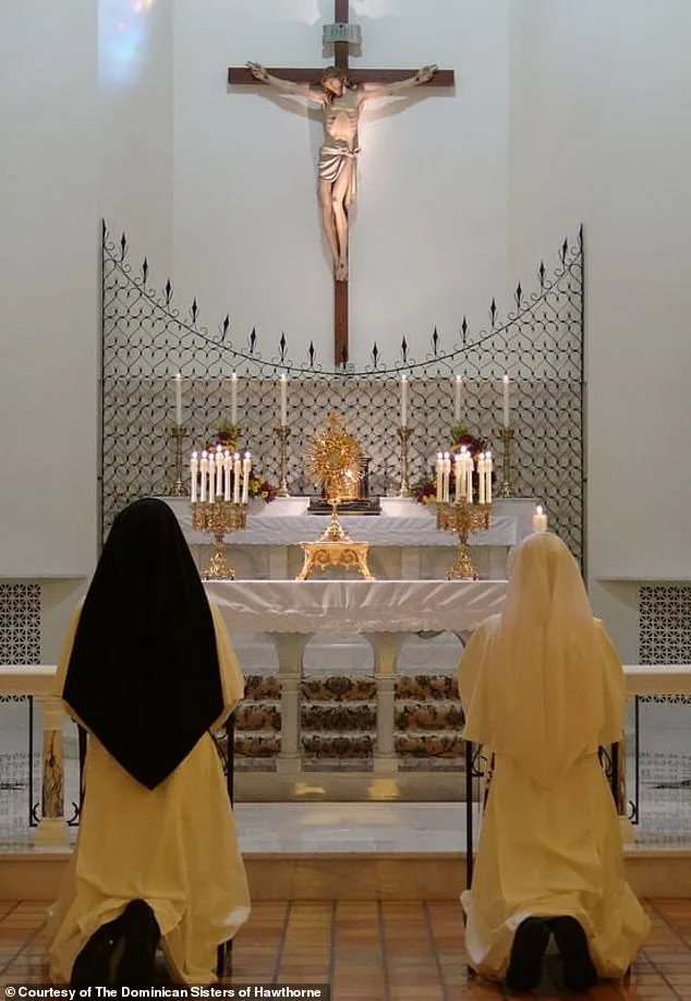 Catholic Nuns Challenge New York's Gender Rules in Landmark Faith vs. Law Battle Over Dying Patients' Care