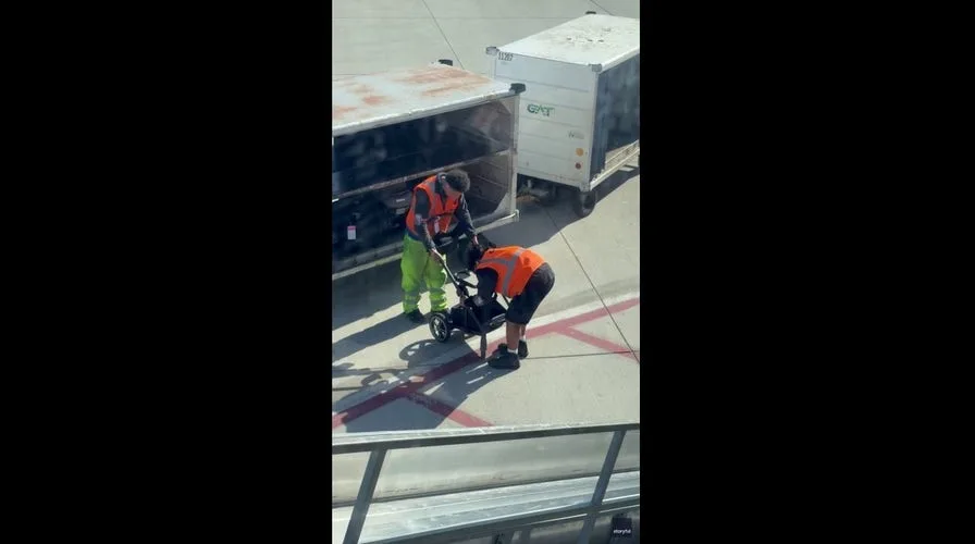 Disneyland Stroller Trick: Father Hides Child to Avoid Entry Fee?