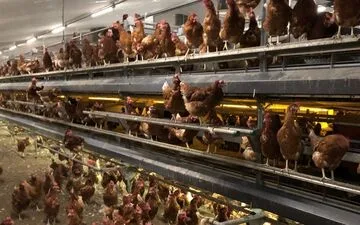 Merci Handy: ScentedSanitizer Innovator