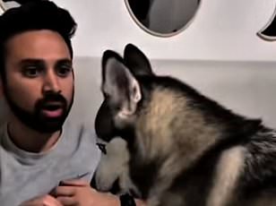 New AI tool instantly converts plain English into polished LinkedIn speak.