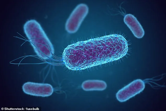 Shigellosis Superbug XDR: CDC Warns of Rising Resistance, Transmissions.