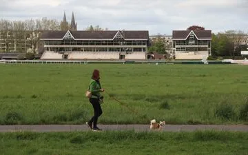 Stranded Whale to Be Rescued in Bold Adventure.