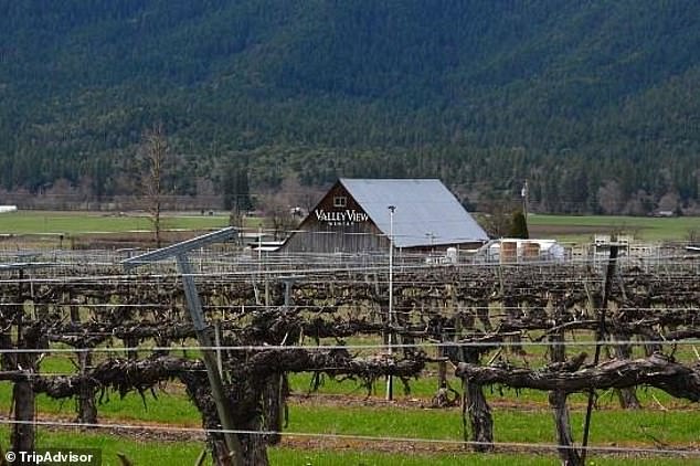 Sons Fight Over 80-Acre Oregon Winery After Mother Revises Will