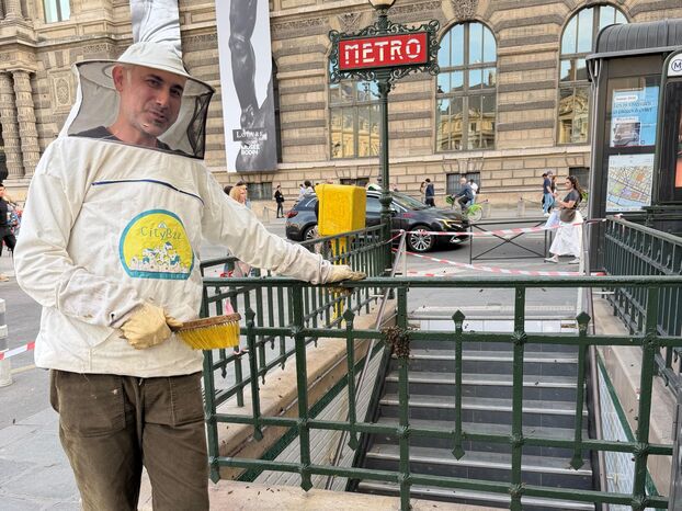 Paris beekeepers successfully rescue massive swarm from bicycle near Louvre.
