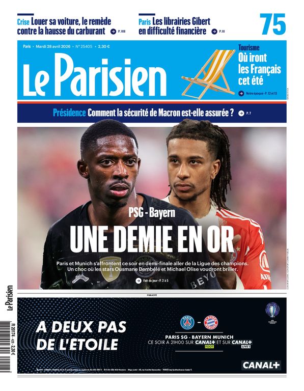 Paris beekeepers successfully rescue massive swarm from bicycle near Louvre.