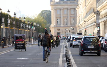 Paris beekeepers successfully rescue massive swarm from bicycle near Louvre.