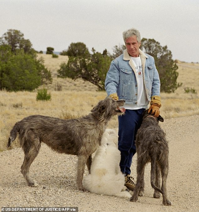 Survivors allege gang rape and killings occurred at Jeffrey Epstein's New Mexico ranch.