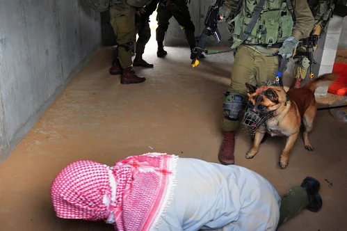 Israel Departs Hundreds of Activists After Flotilla Raid and Abuse Claims